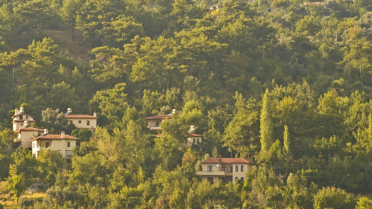 Photo of Outdoor in Islamlar