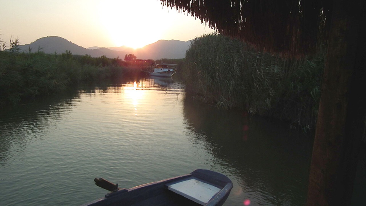 Photo of Others in Dalyan