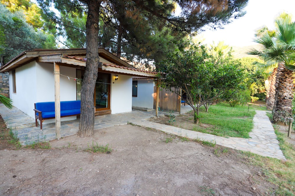 Photo of Outdoor in Hayitbuku