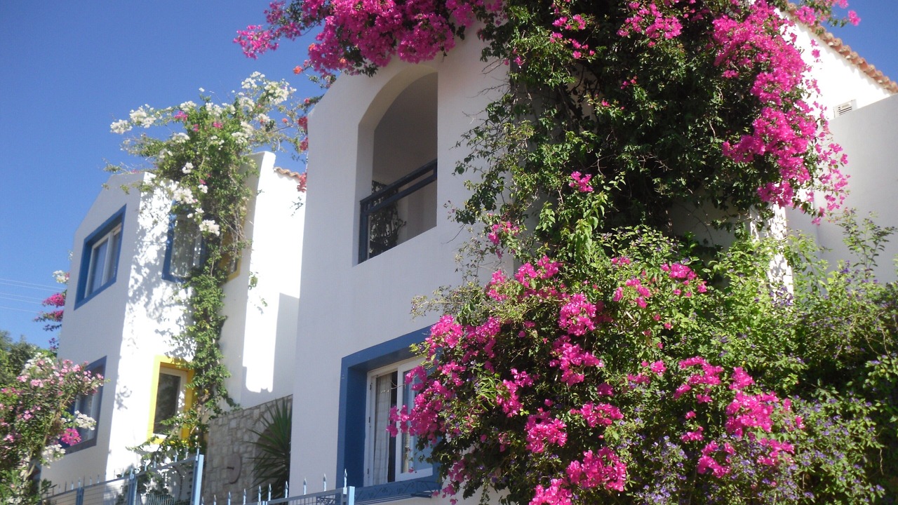 Photo of Outdoor in Datca City Center
