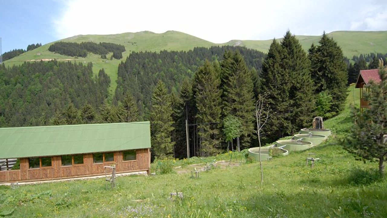 Photo of Outdoor in Macka