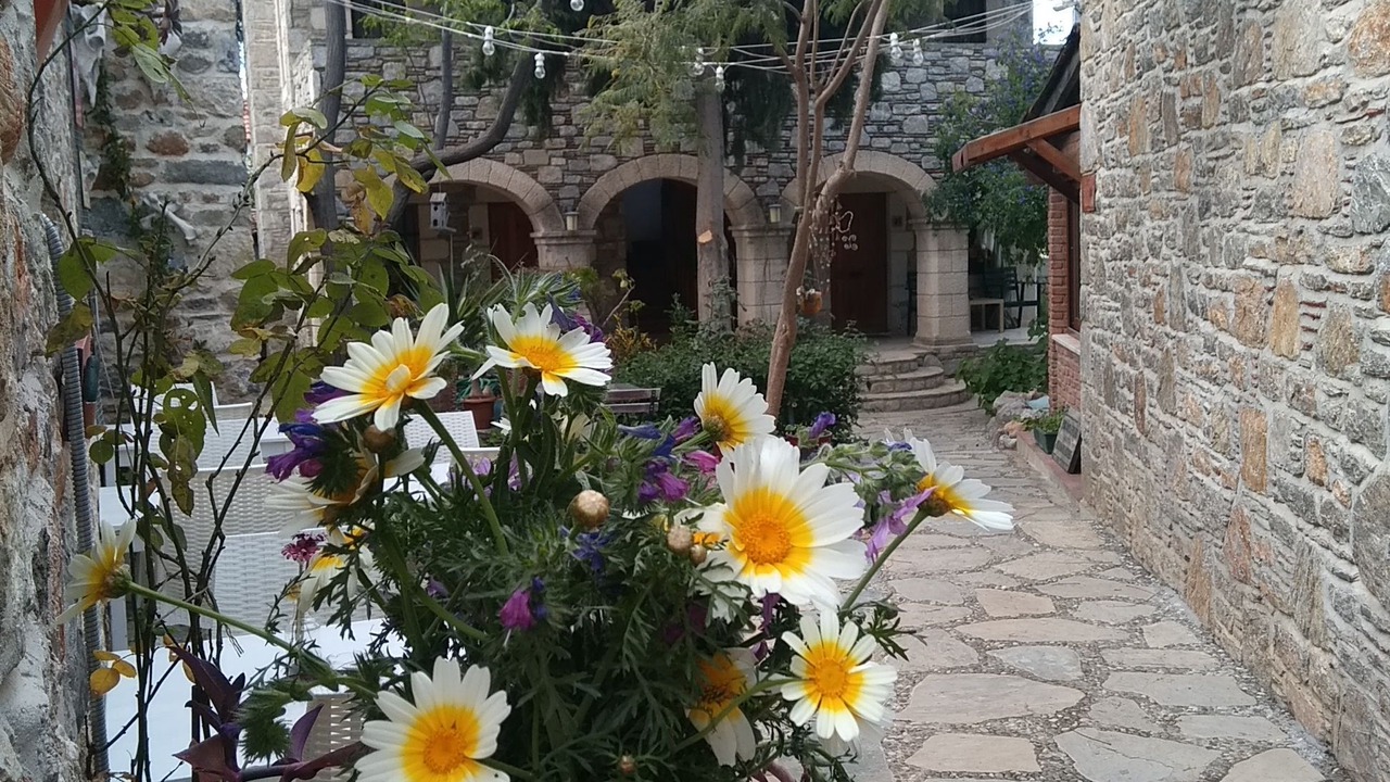 Photo of Others in Old Datca