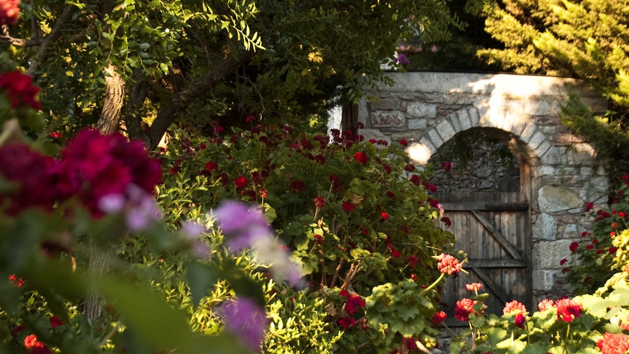 Photo of Outdoor in Old Datca