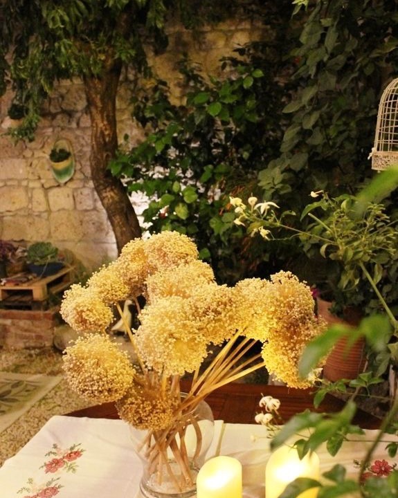 Photo of Outdoor in Hacımemis