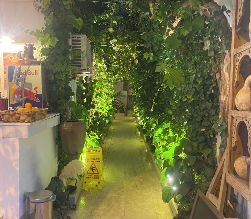 Photo of Outdoor in Pamukkale City Centre