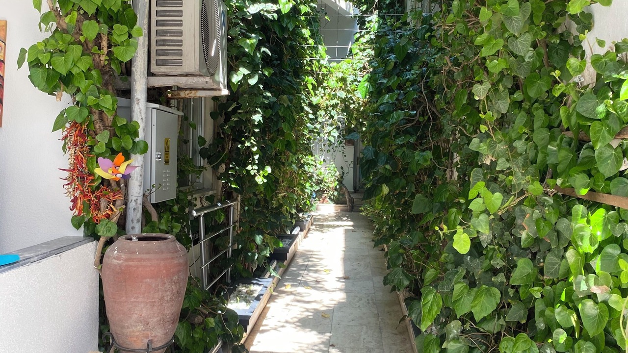 Photo of Outdoor in Pamukkale City Centre