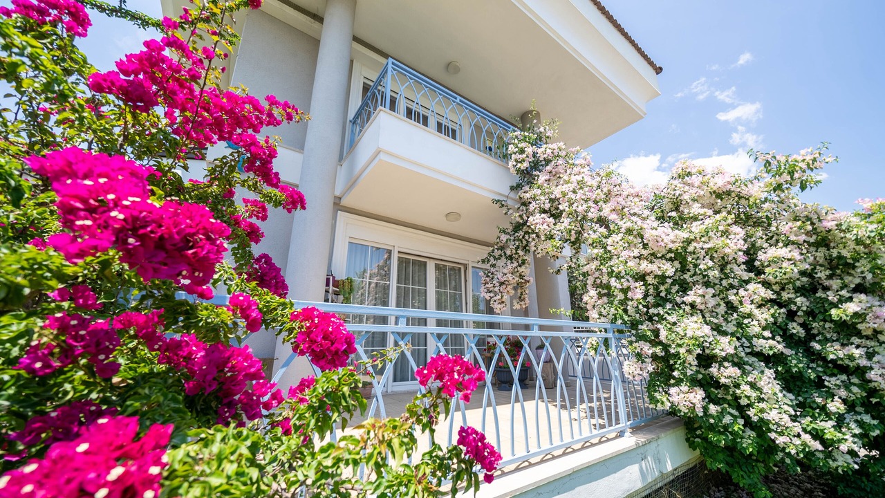 Photo of Outdoor in Marmaris City Center