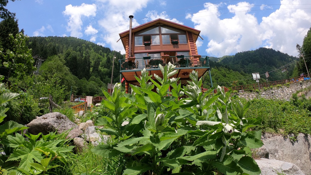 Photo of Outdoor in Ayder Yaylasi