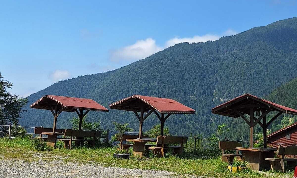 Photo of Others in Uzungol