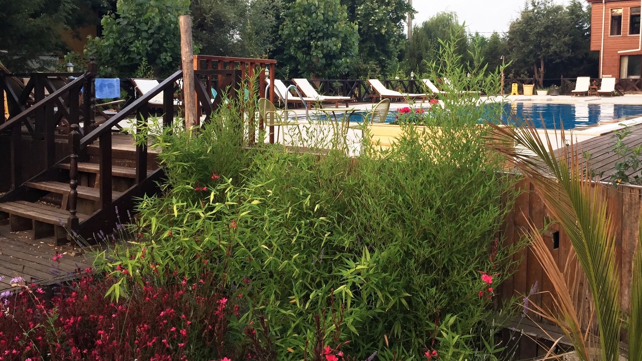 Photo of Outdoor in Agva