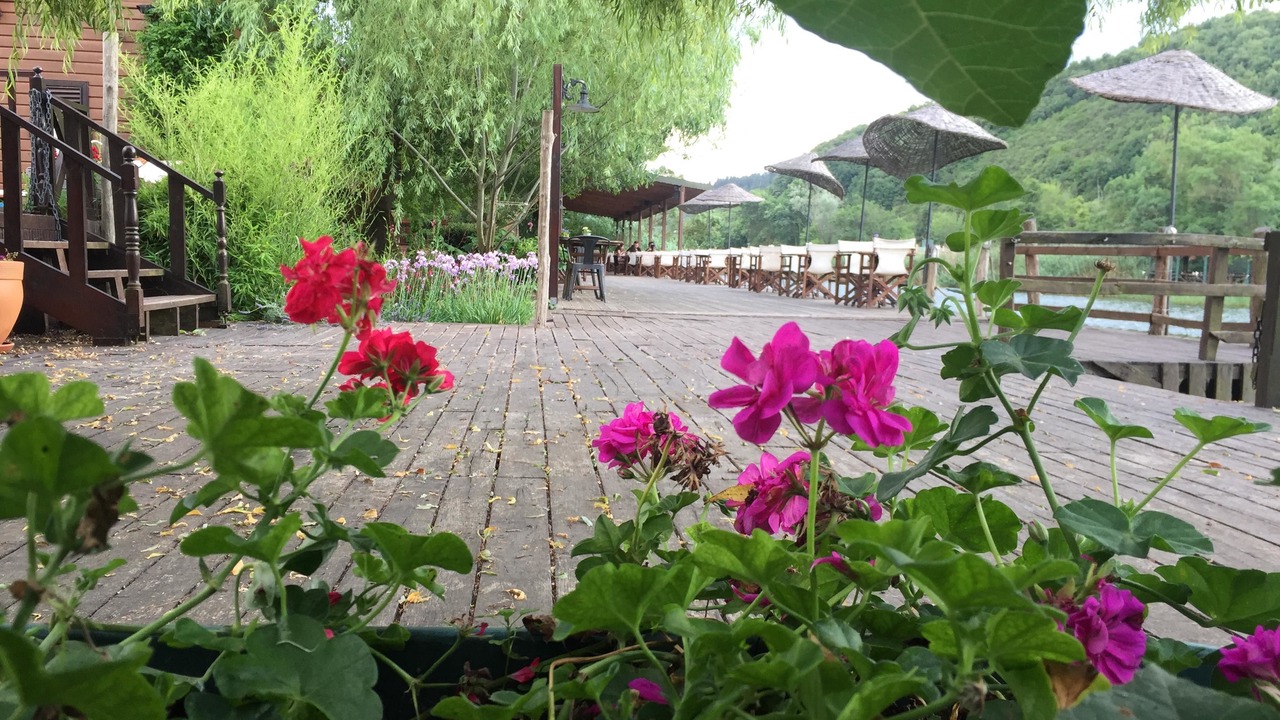 Photo of Outdoor in Agva