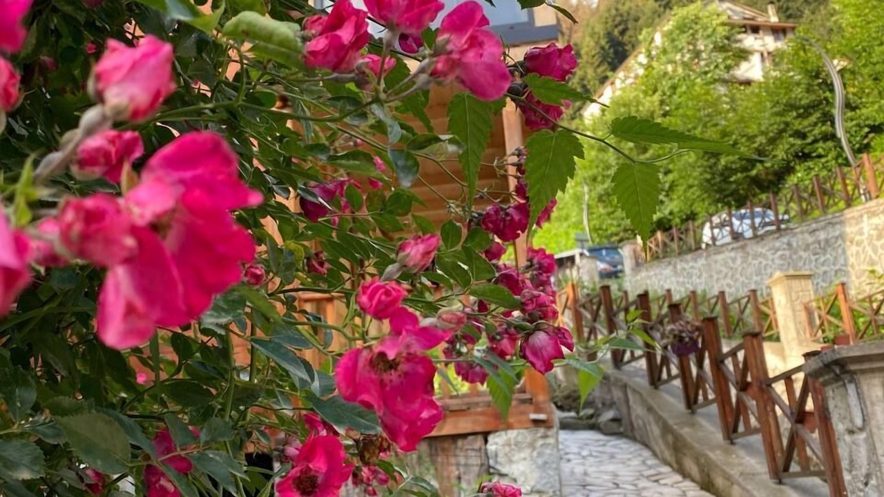 Photo of Outdoor in Ayder Yaylasi