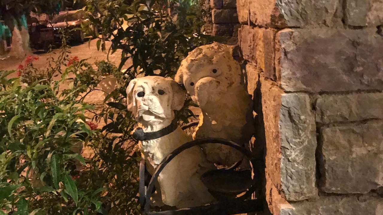 Photo of Outdoor in Datca City Center