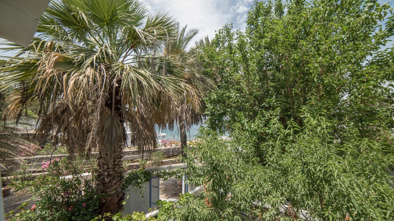 Photo of Outdoor in Golturkbuku