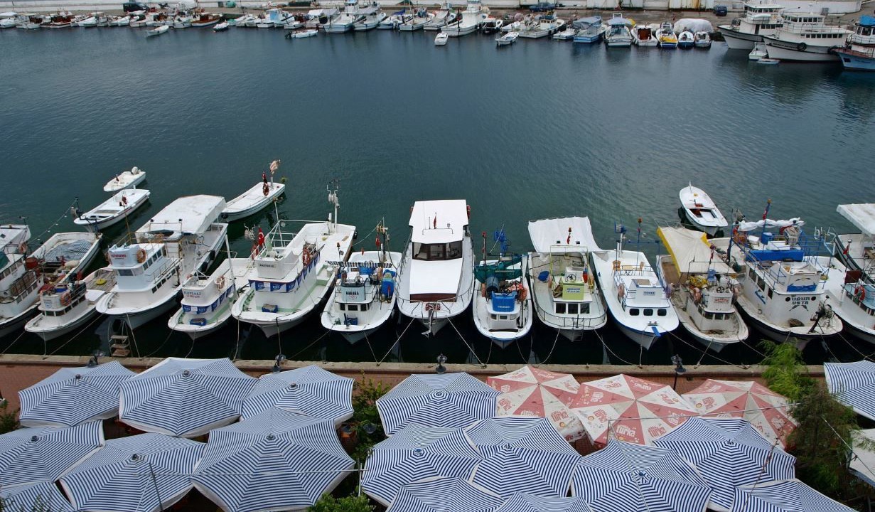 Photo of Others in Sinop