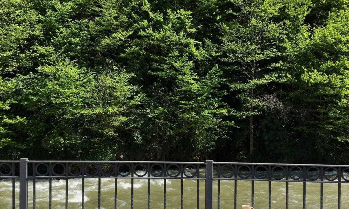 Photo of Others in Ayder