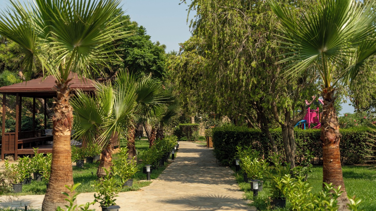 Photo of Outdoor in Cenger