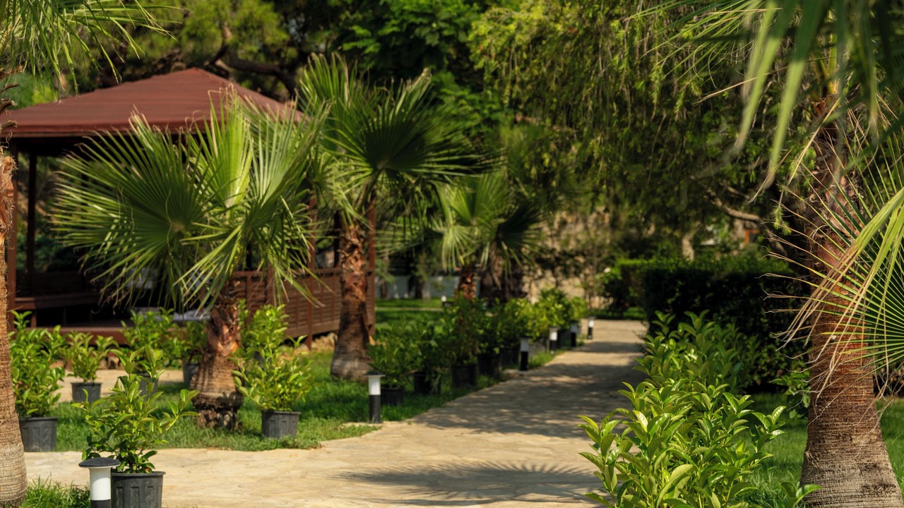 Photo of Outdoor in Cenger