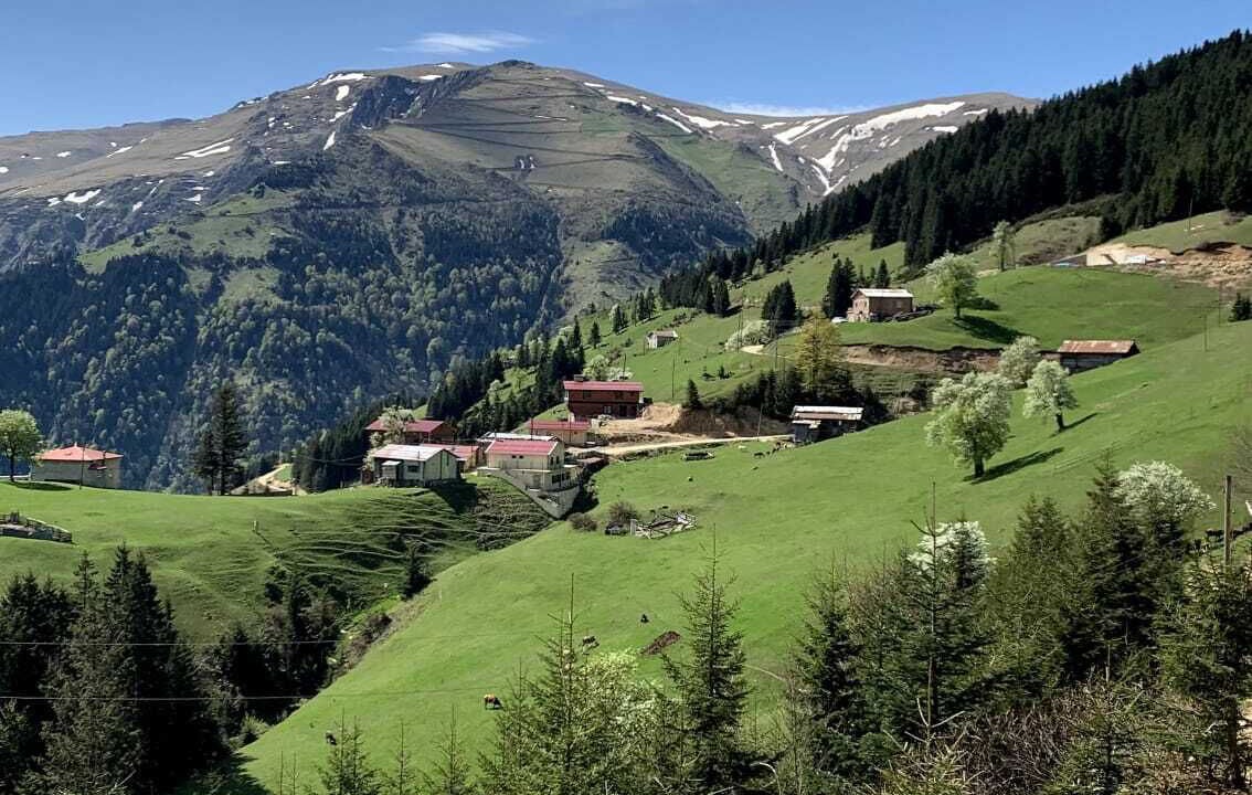 Photo of Outdoor in Caykara