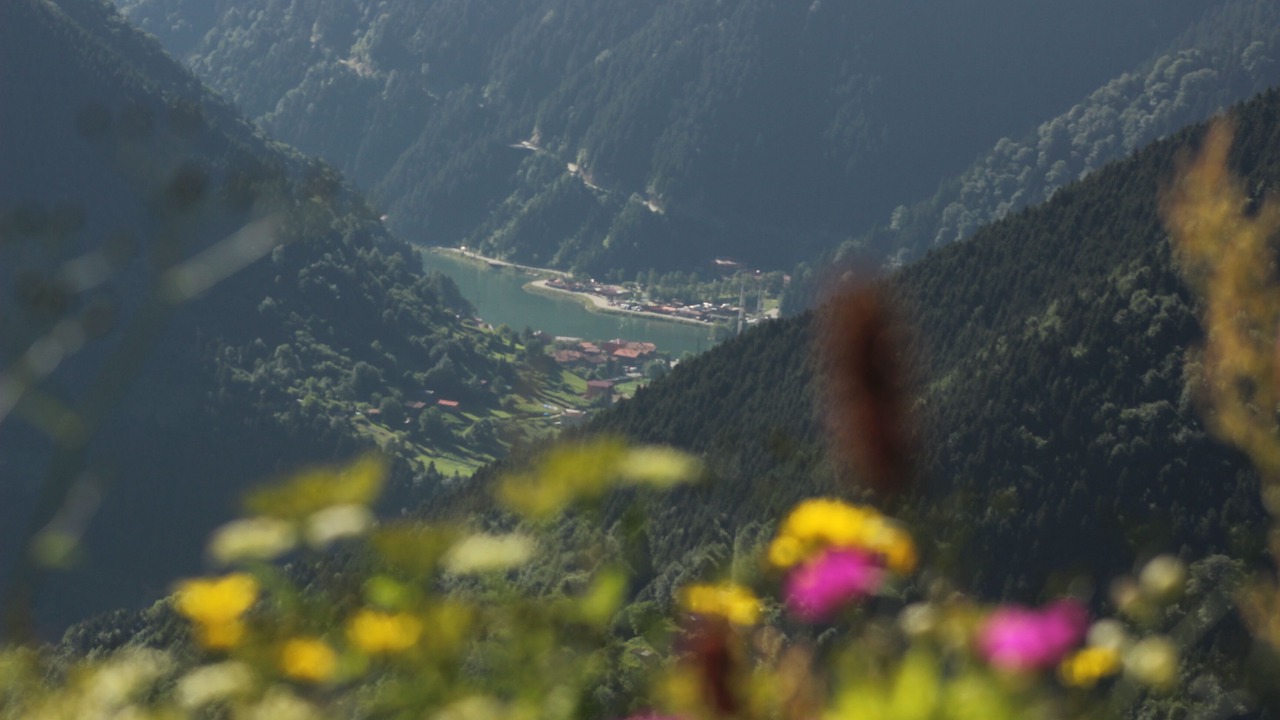 Photo of Outdoor in Caykara