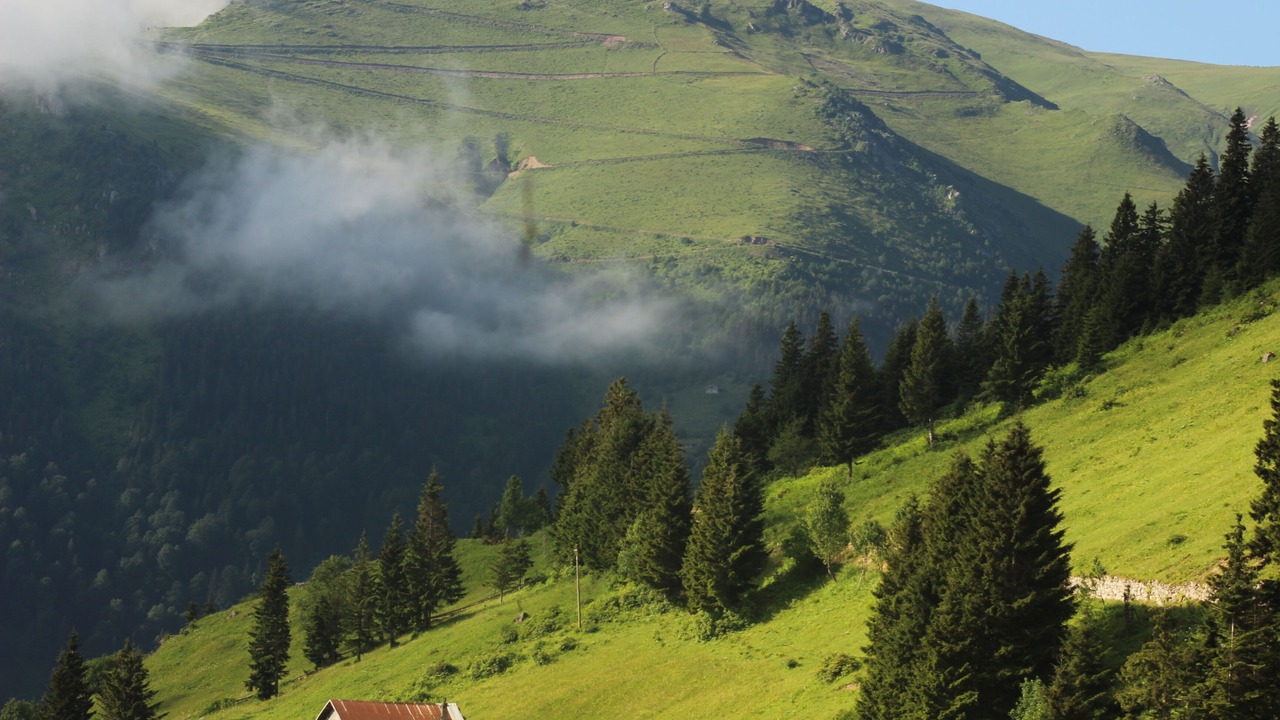 Photo of Outdoor in Caykara