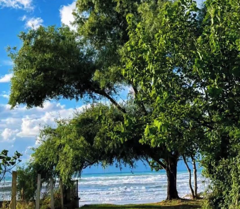Photo of Outdoor in Karaburun Mahallesi
