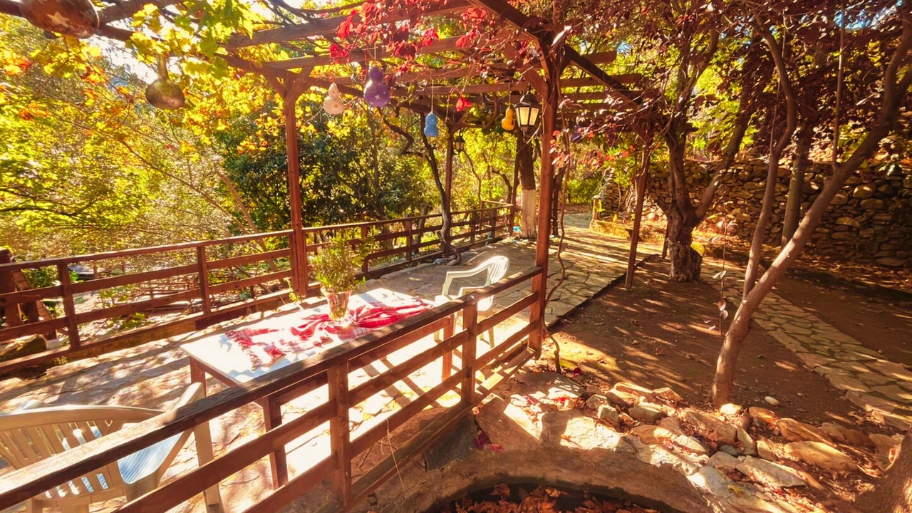 Photo of Outdoor in Zeytinli