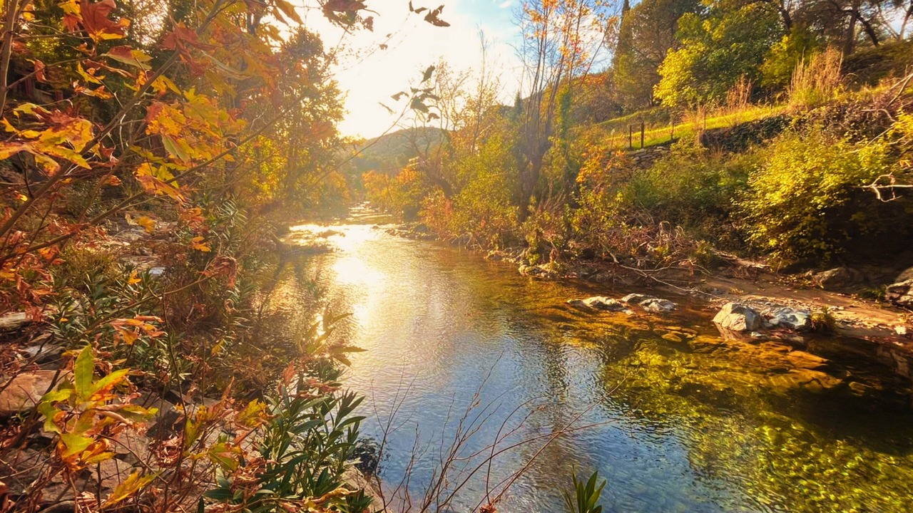 Photo of Outdoor in Zeytinli