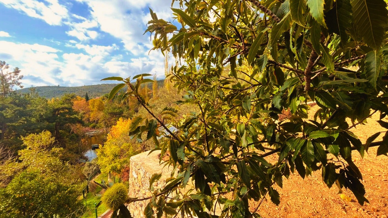 Photo of Outdoor in Zeytinli