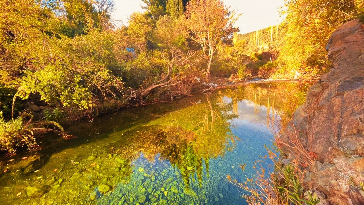 Photo of Outdoor in Zeytinli