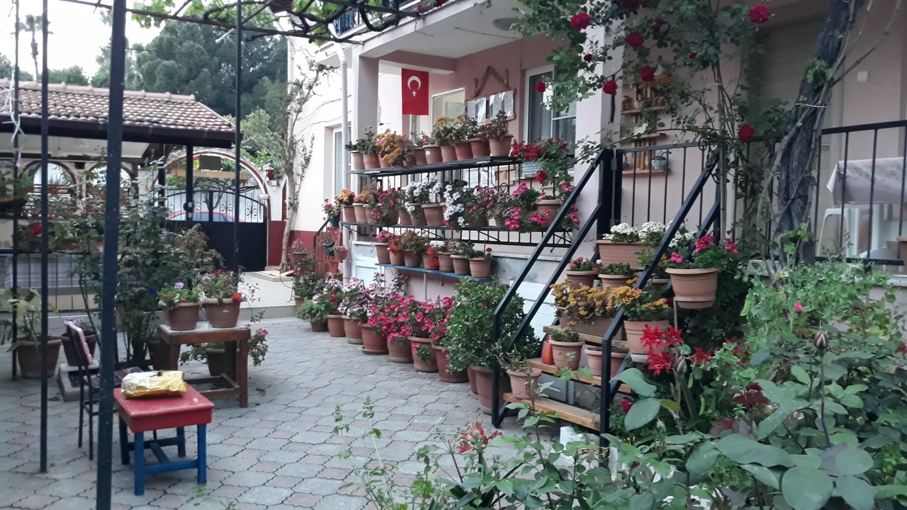 Photo of Outdoor in Koycegiz