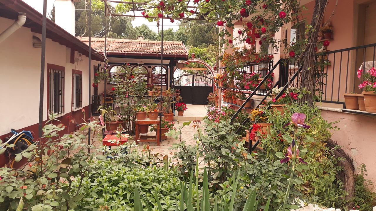 Photo of Outdoor in Koycegiz