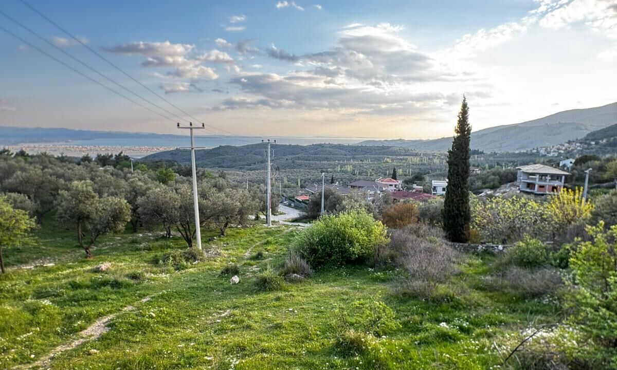 Photo of Outdoor in Pinarbasi