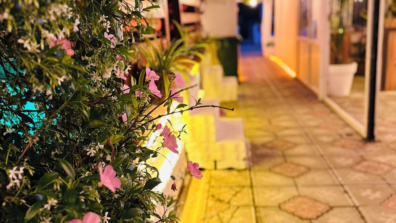 Photo of Outdoor in Akcay