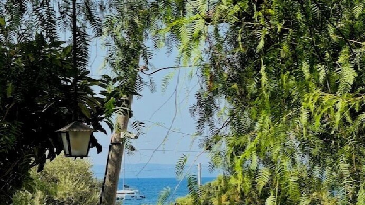 Photo of Outdoor in Datca