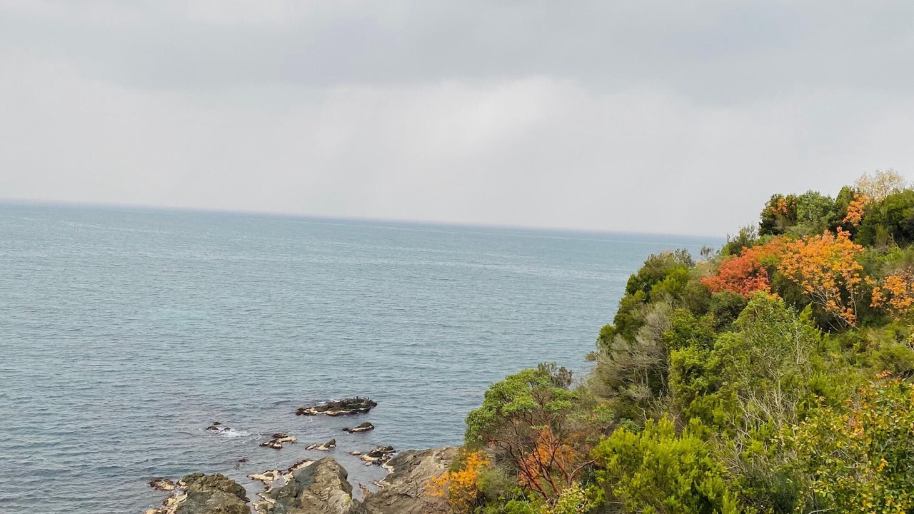Photo of Outdoor in Amasra