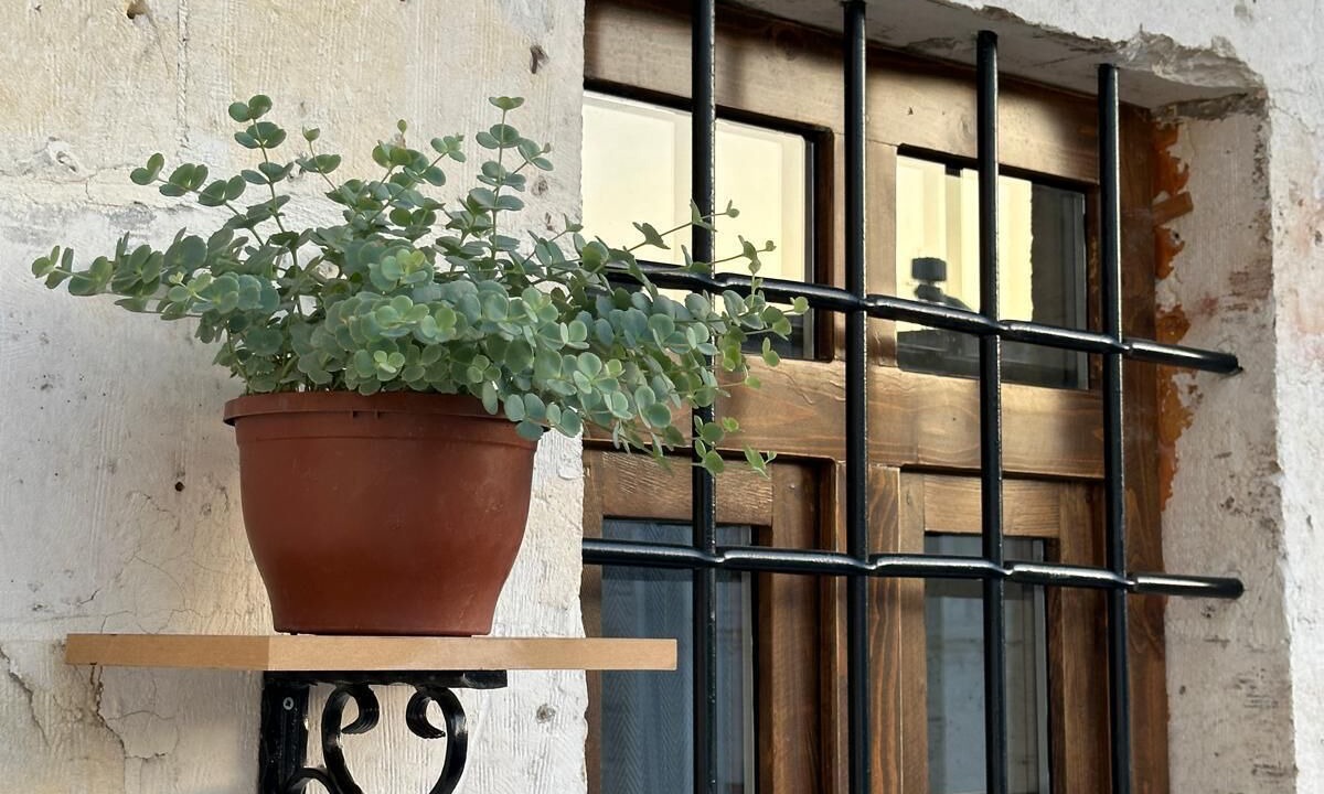 Photo of Patio Balcony in Eyyubiye