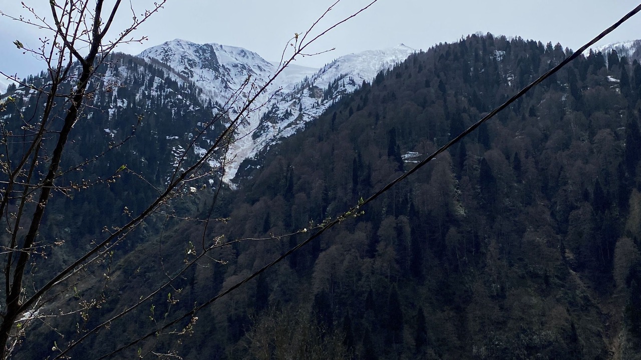 Photo of Outdoor in Ayder Yaylasi