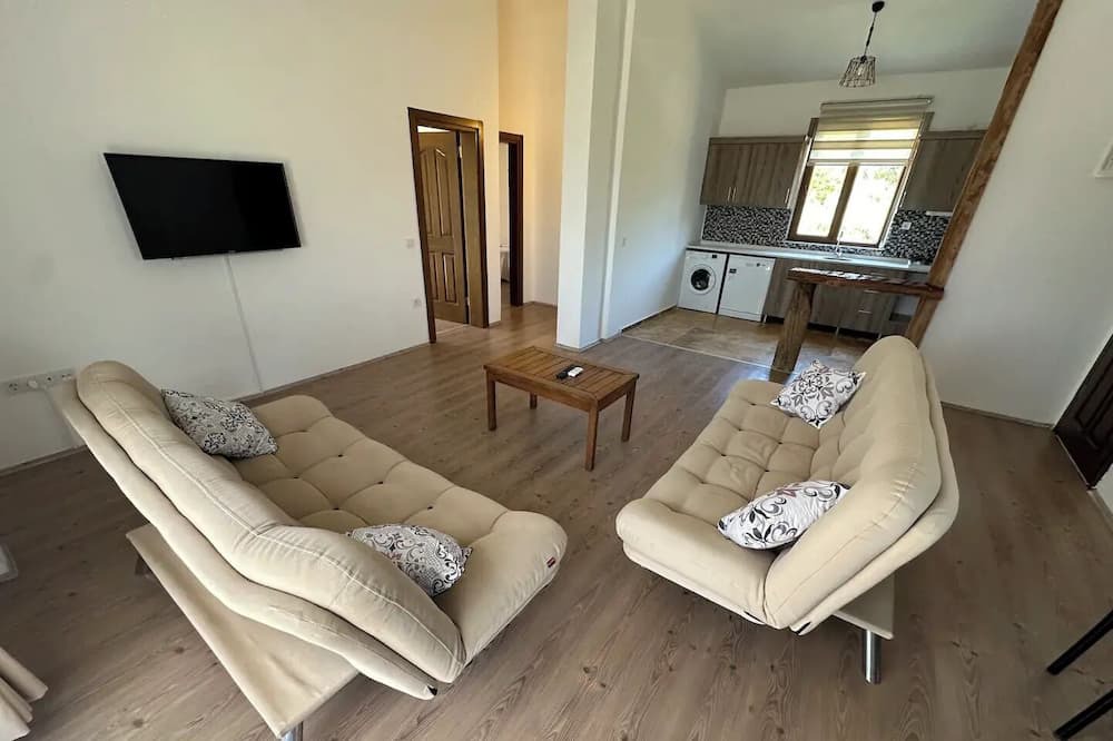 Photo of Livingroom in Datca