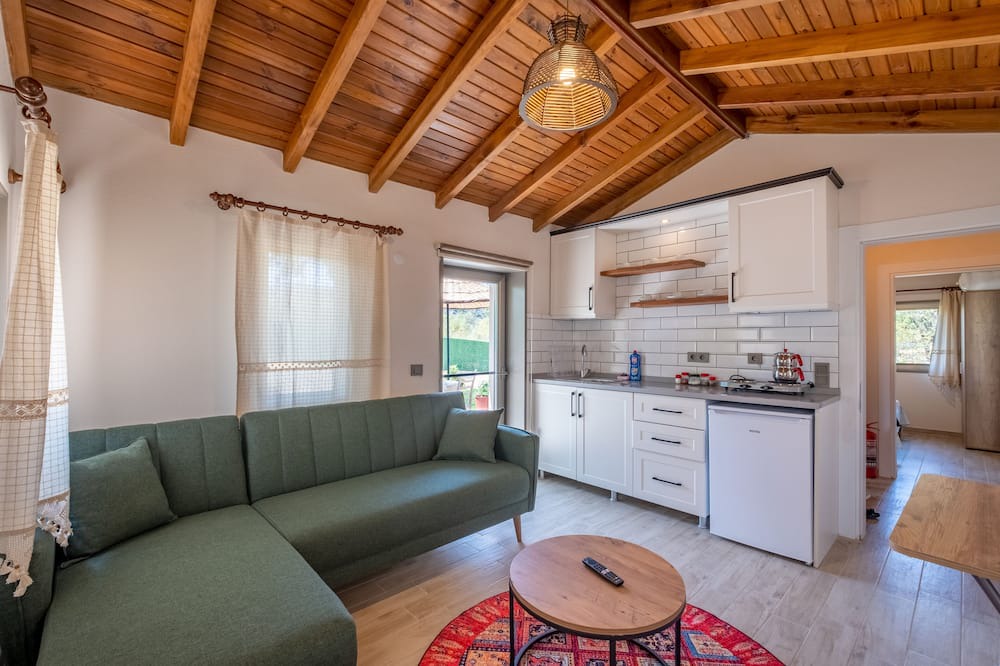 Photo of Livingroom in Datca