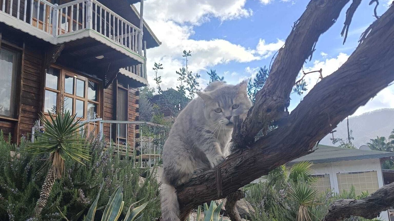 Photo of Outdoor in Olympos