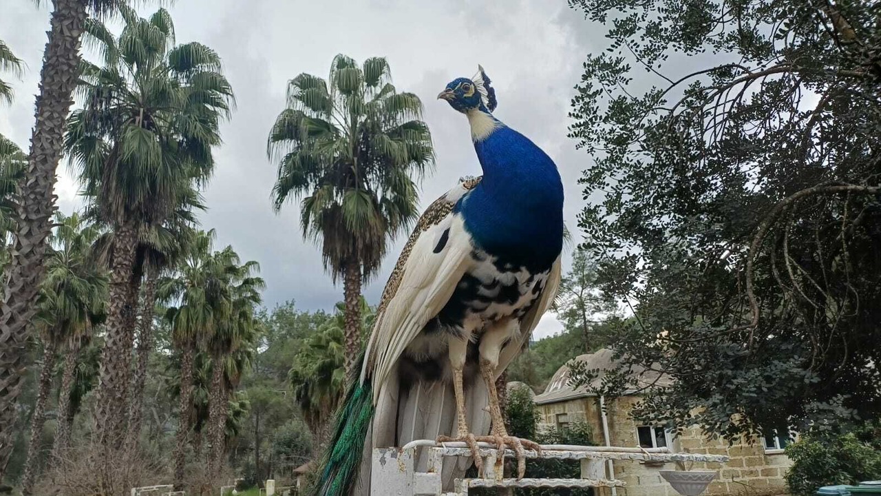 Photo of Outdoor in Olympos