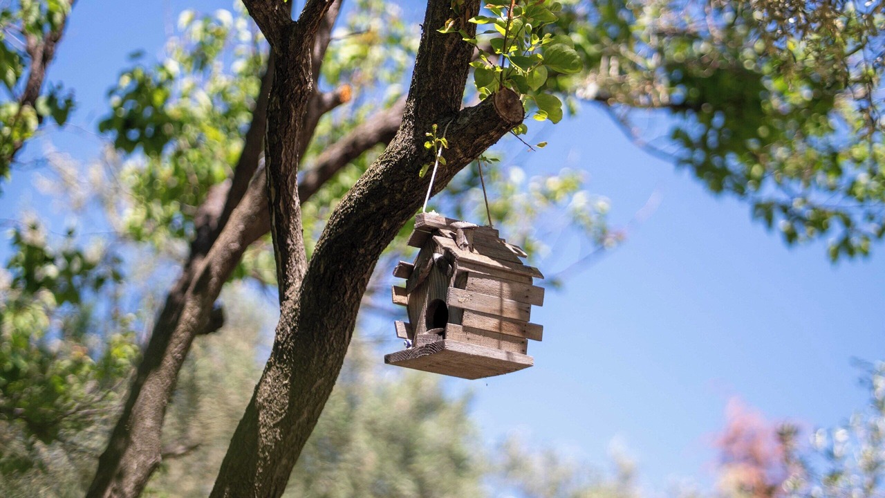 Photo of Outdoor in Gure