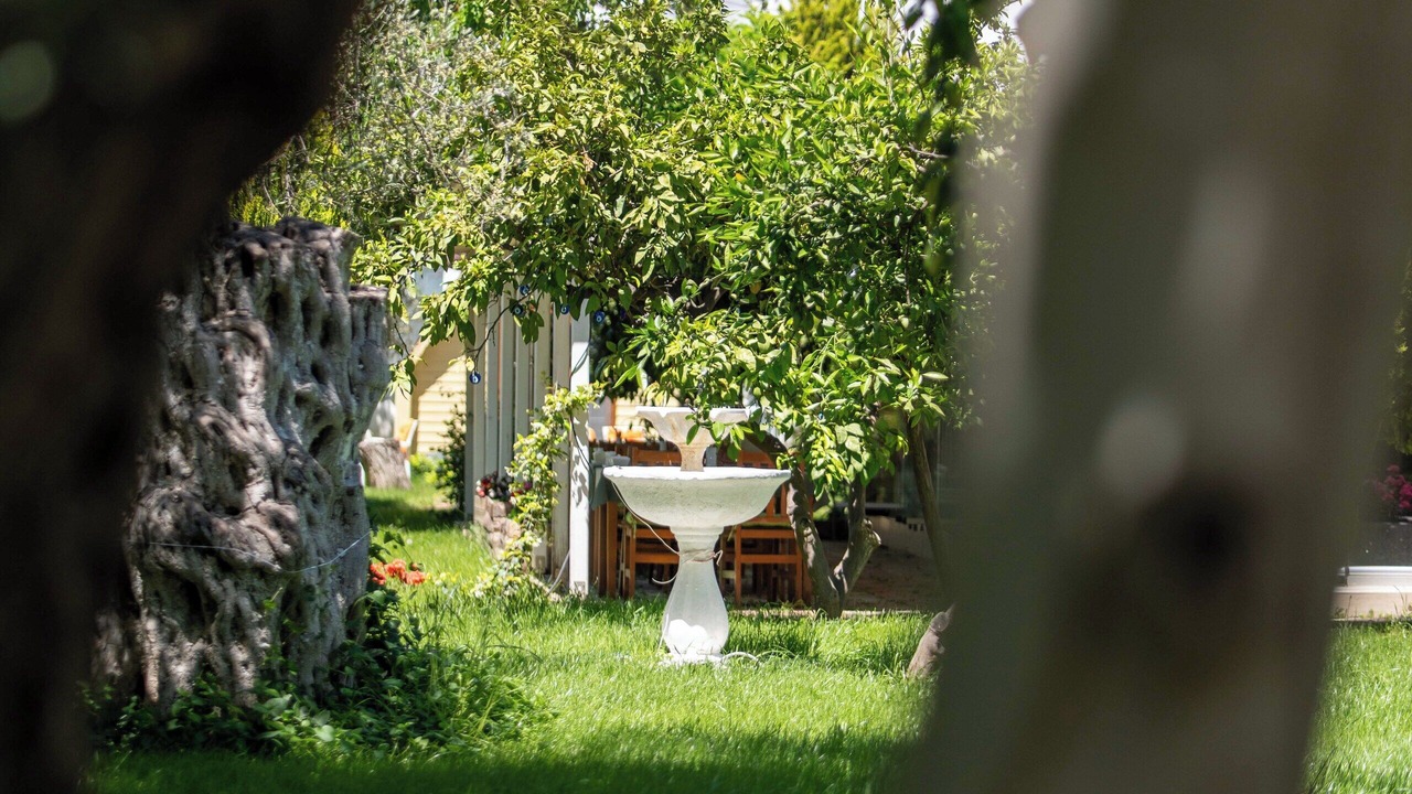 Photo of Outdoor in Gure