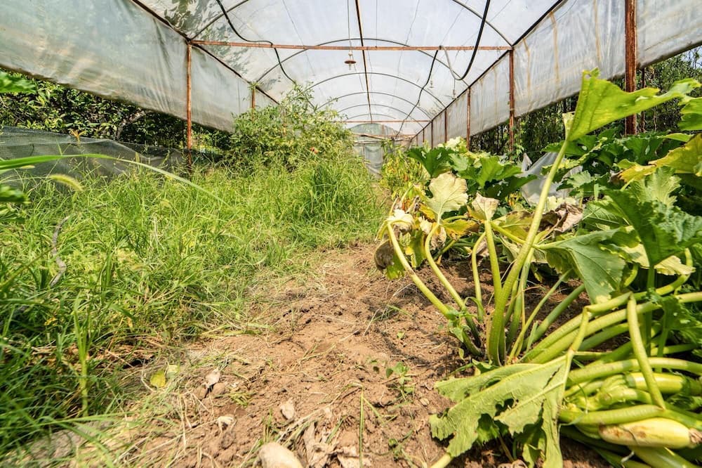 Photo of Outdoor in Koycegiz