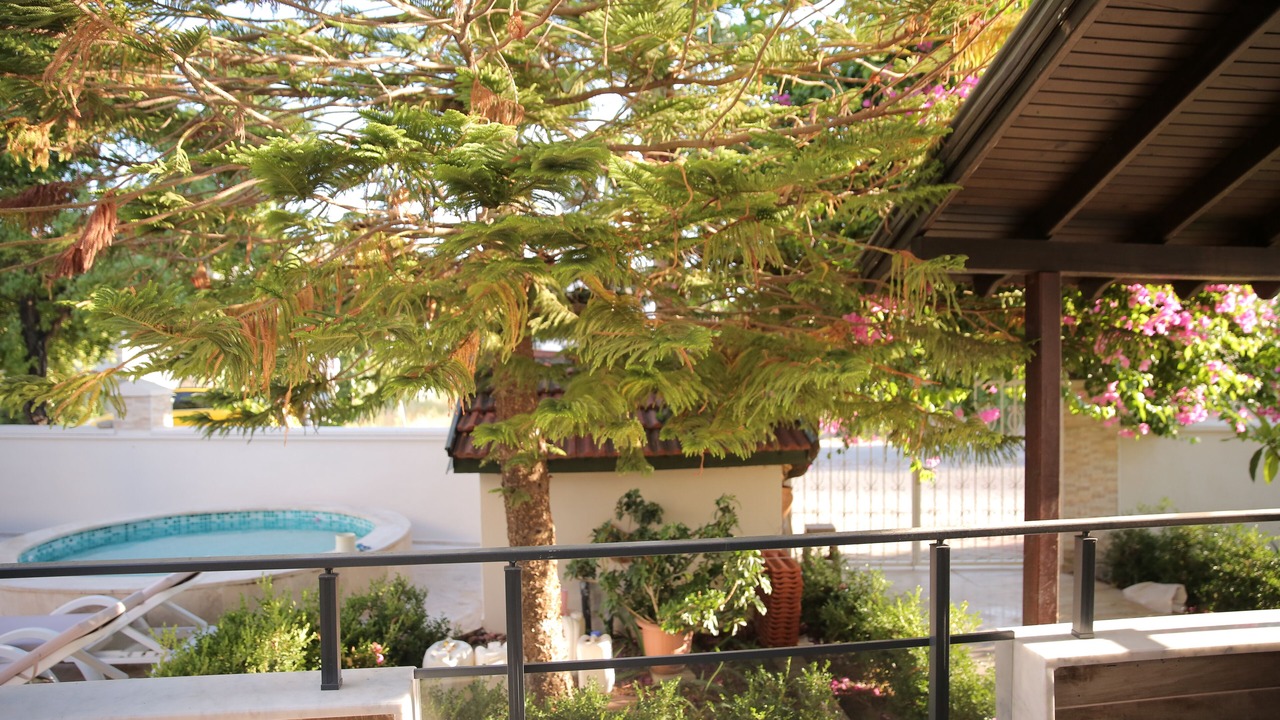 Photo of Outdoor in Dalyan City Center