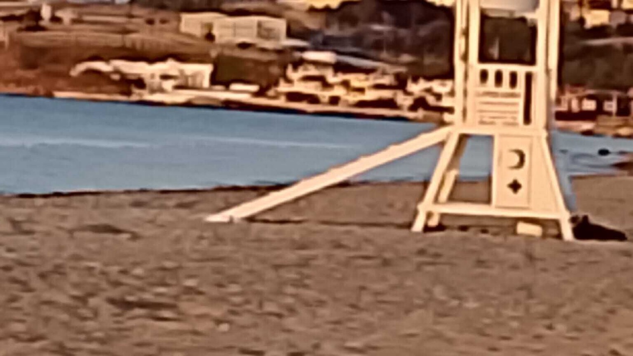 Photo of Outdoor in Marmara Ereglisi