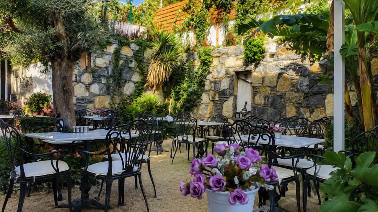 Photo of Outdoor in Torba