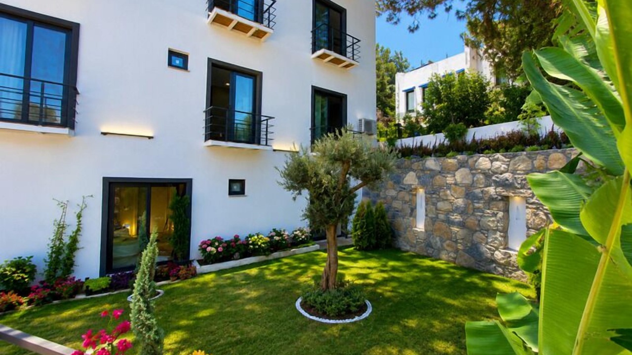 Photo of Outdoor in Torba