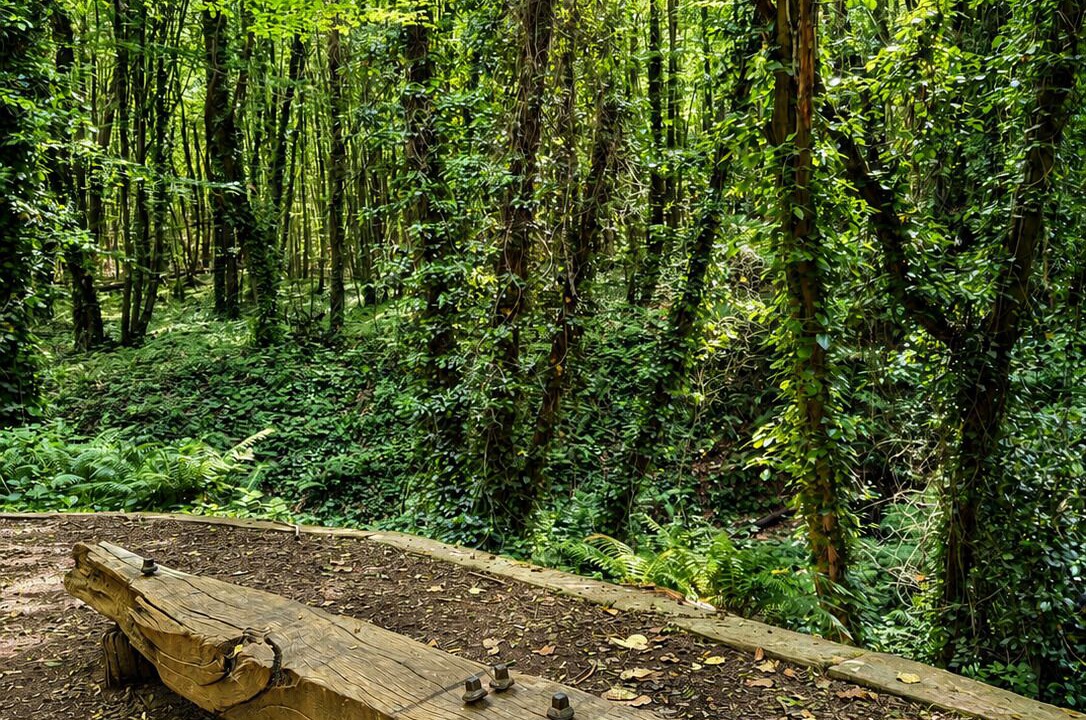 Photo of Outdoor in Polonezkoy